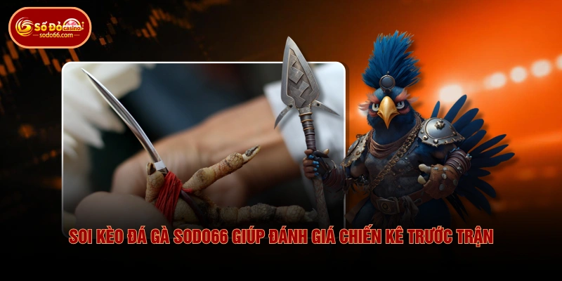 Kinh Nghiệm Soi Kèo Đá Gà SODO66 Giúp Chọn Cửa Chuẩn Xác 2 Kinh Nghiệm Soi Kèo Đá Gà SODO66 Giúp Chọn Cửa Chuẩn Xác Soi kèo đá gà SODO66 giúp đánh giá chiến kê trước trận